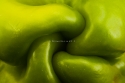 Green pepper (Capsicum annuum) in studio light