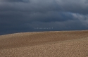 Empty field, Aragón, Spain.